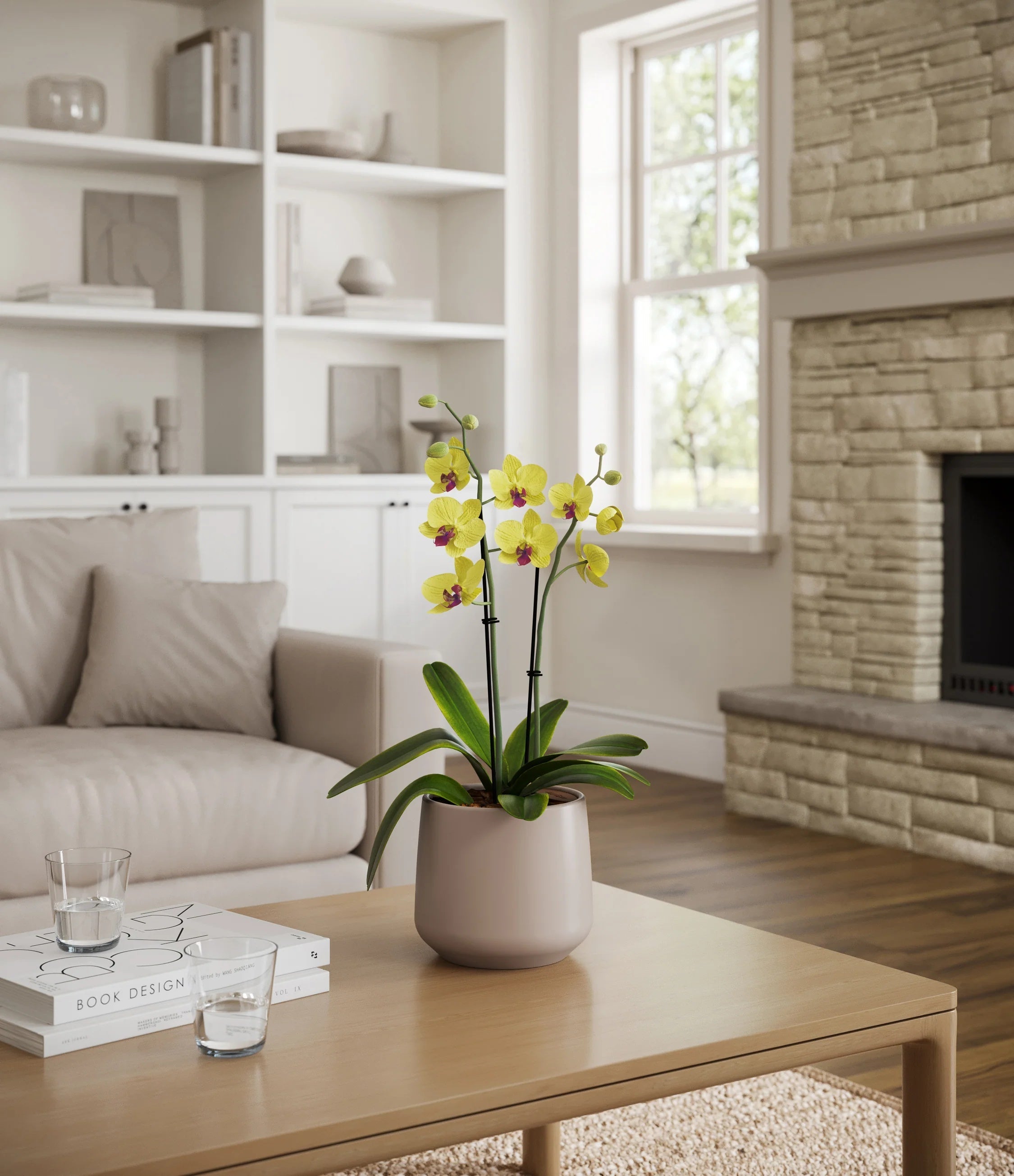 Yellow orchid