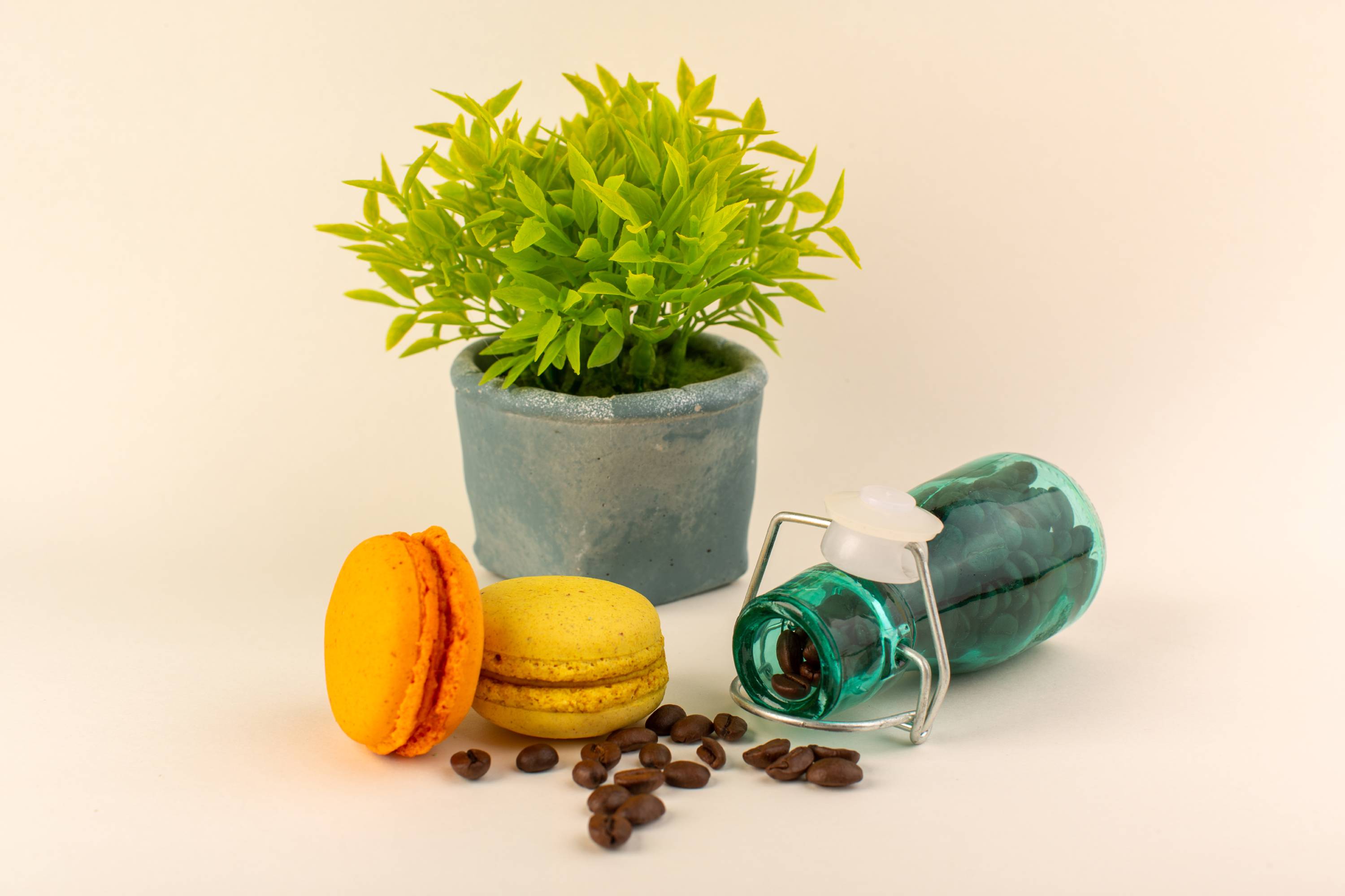 The benefits of adding greenery to your home