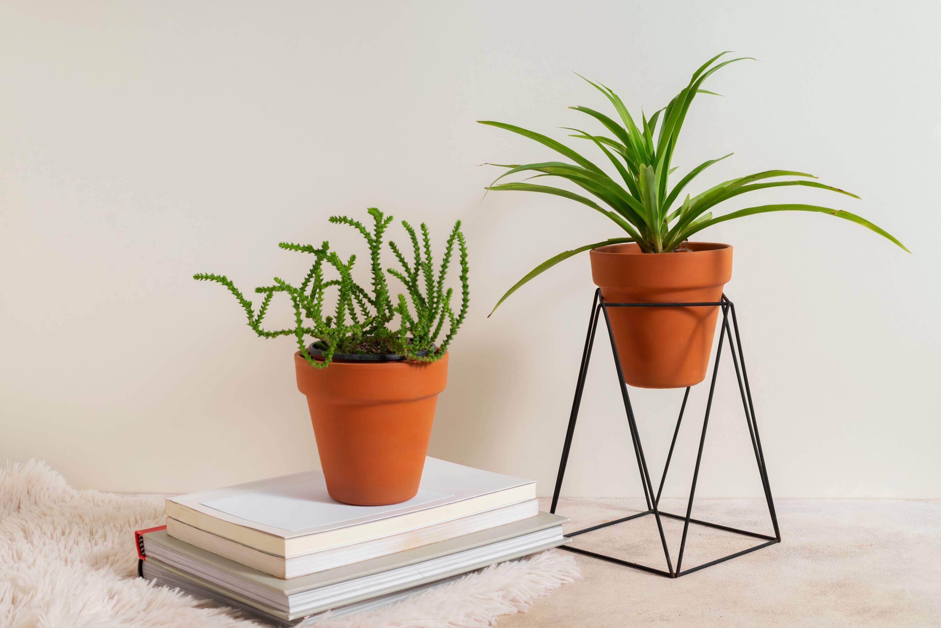 Stylish pots and planters for modern spaces