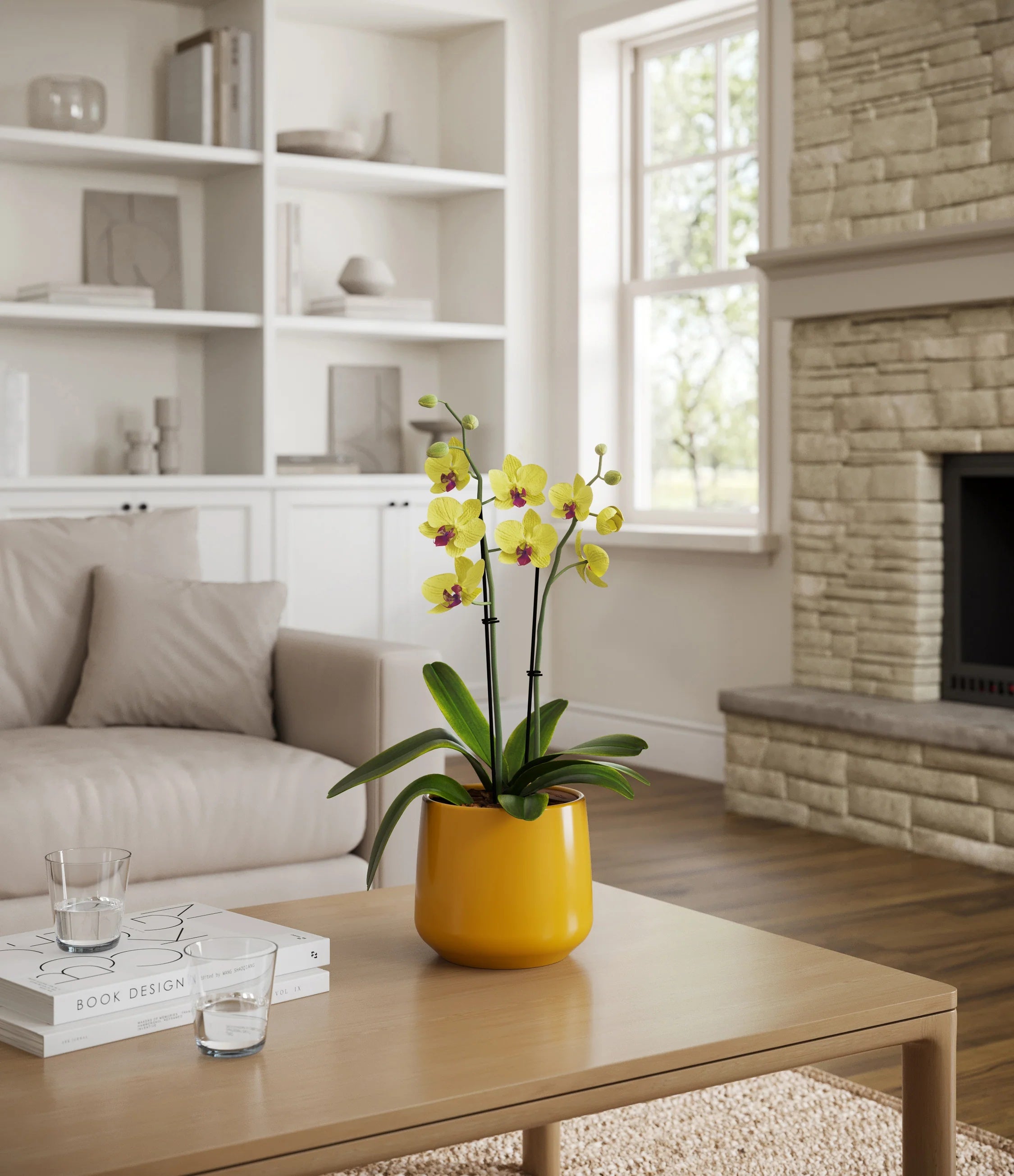 Yellow orchid