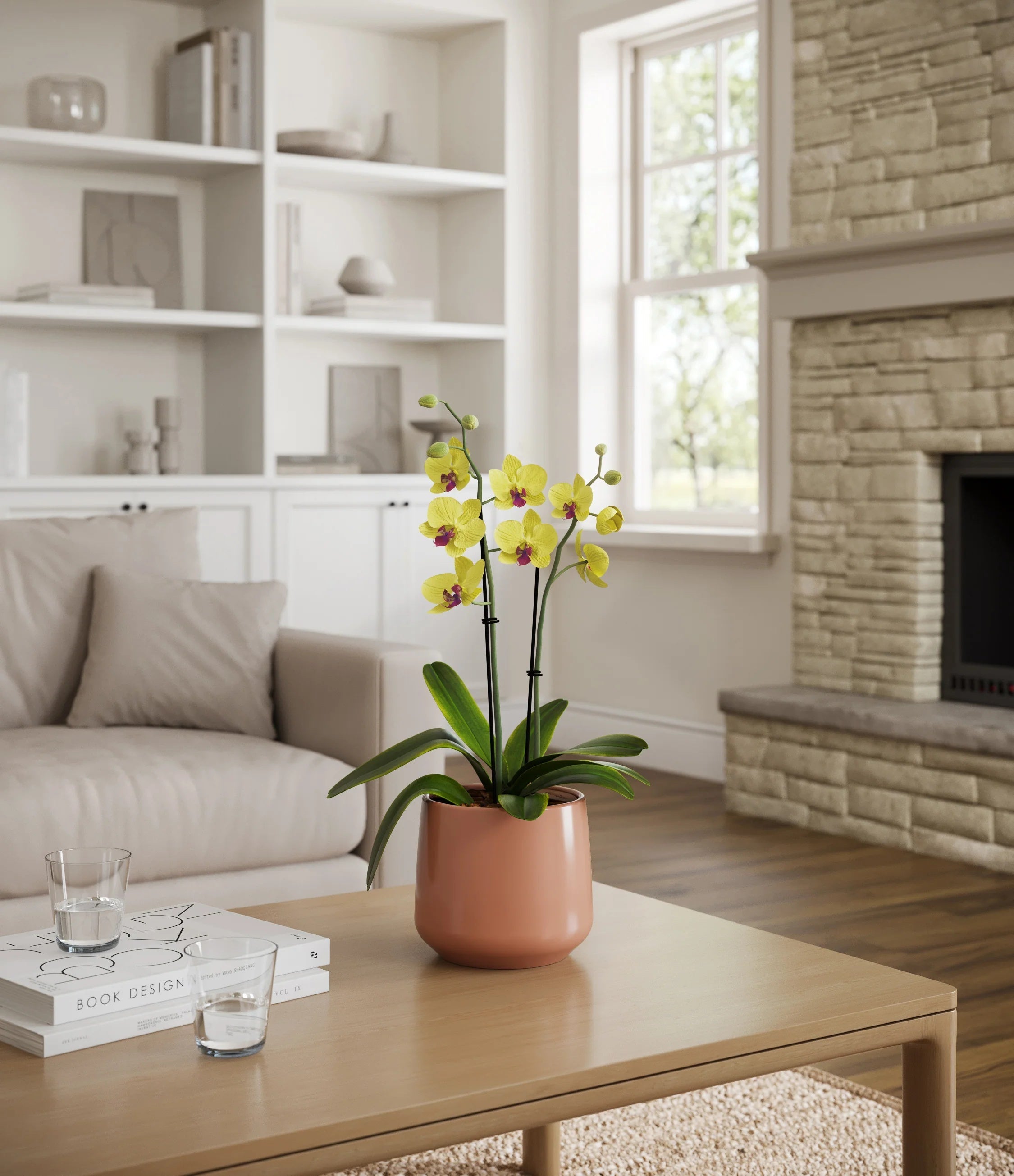 Yellow orchid